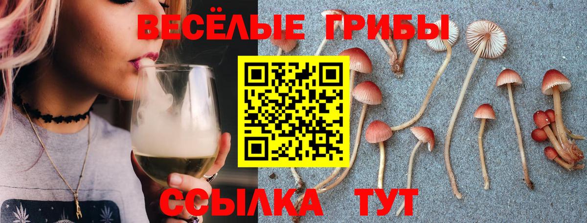 Псилоцибиновые грибы мицелий  Псилоцибиновые грибы ЛСД  Вход с VPN  Армавир 