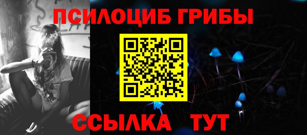 Псилоцибиновые грибы Psilocybe Армавир